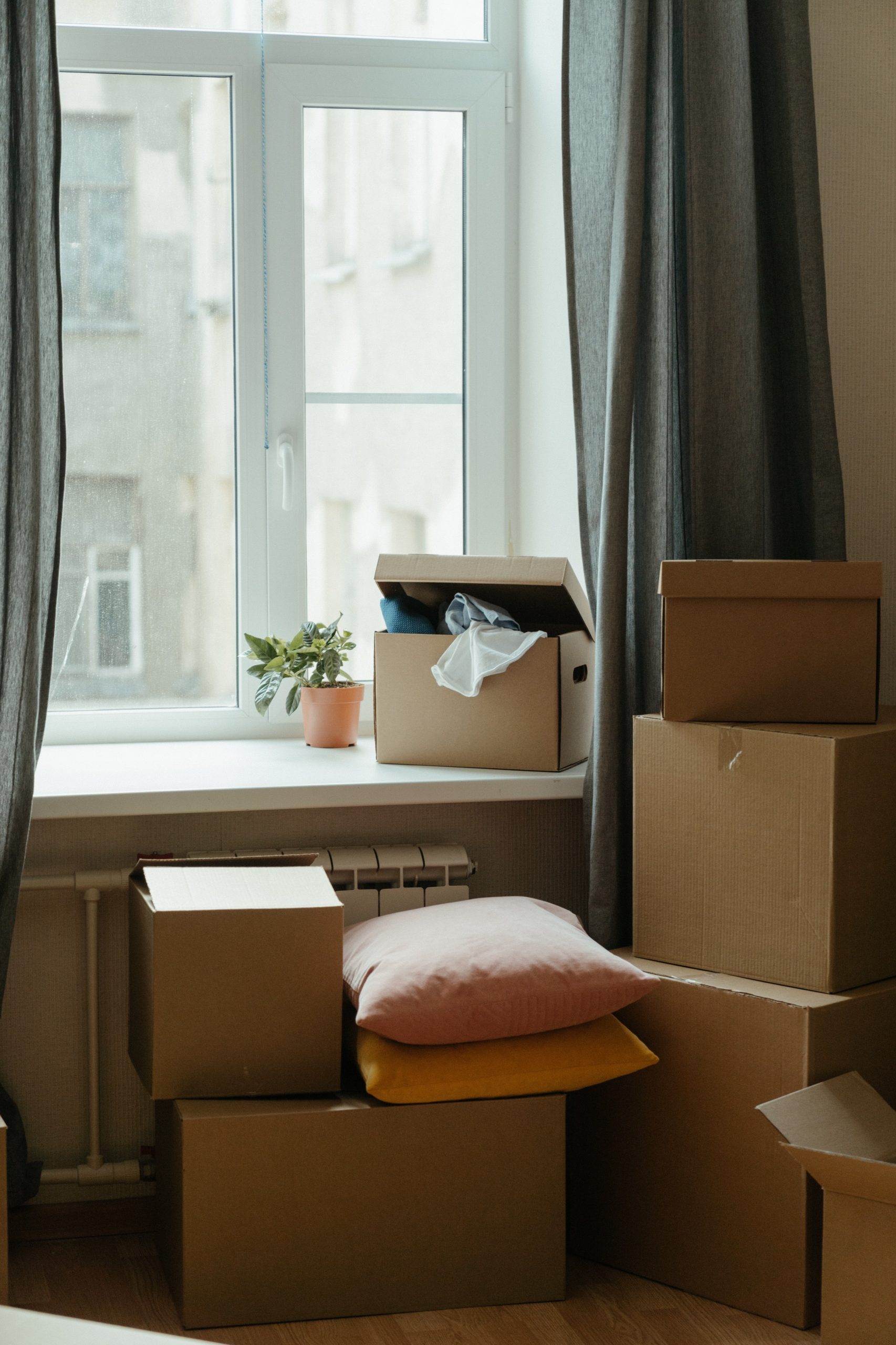 House removal image