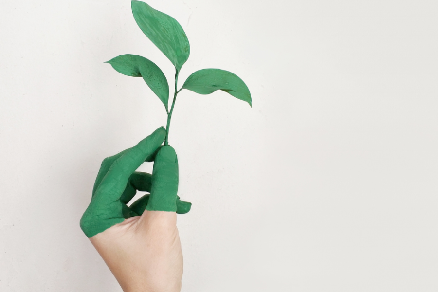 hand hooding up leaf