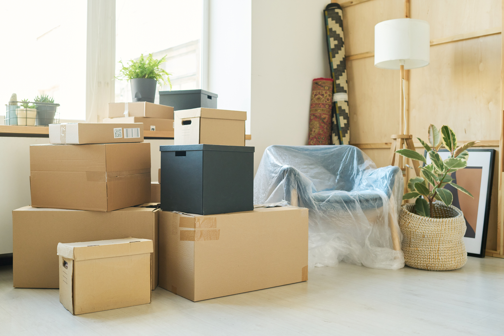 Stacks of large boxes standing against windowsill with flowerpots